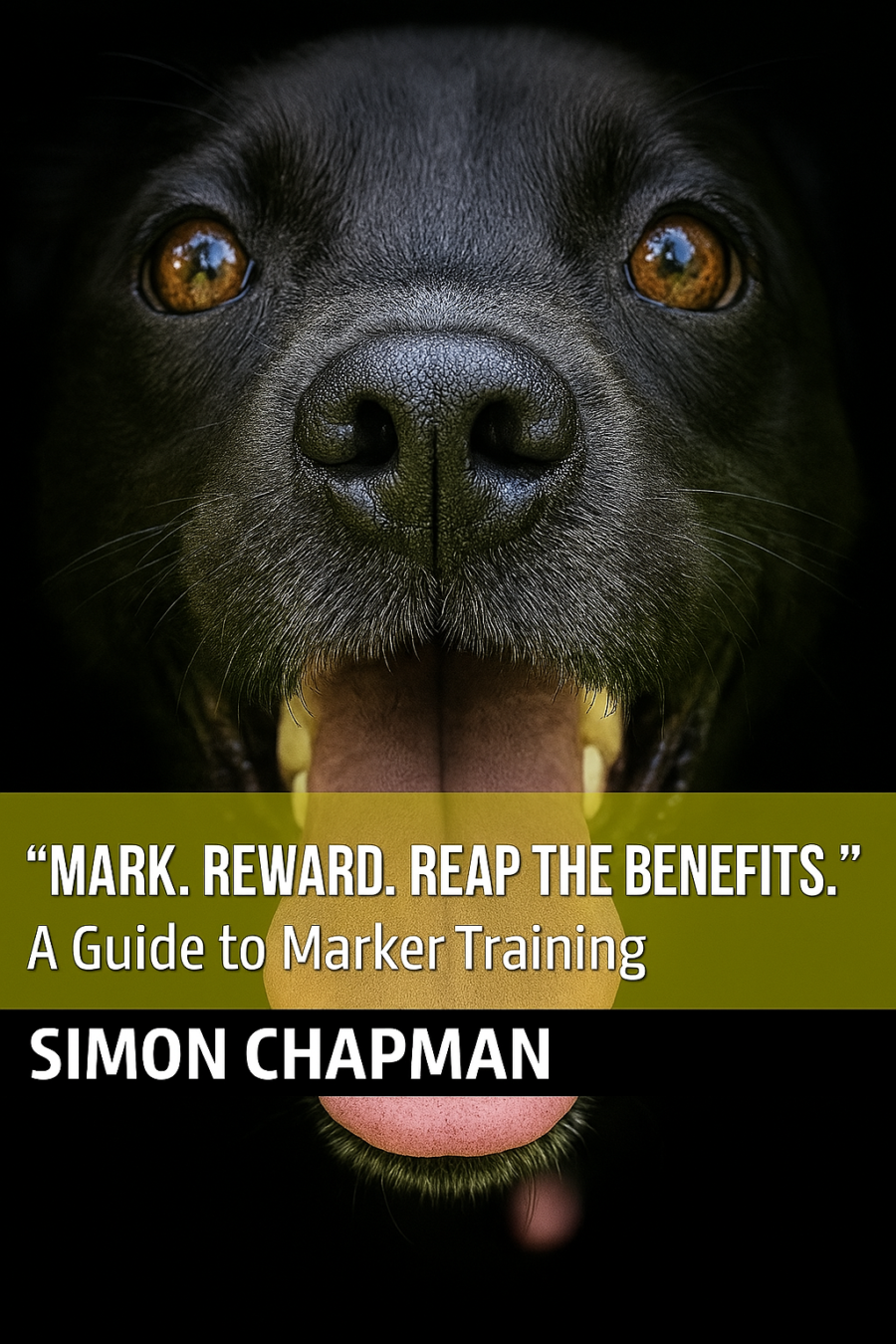 Mark Reward Reap the Benefits by Simon Chapman