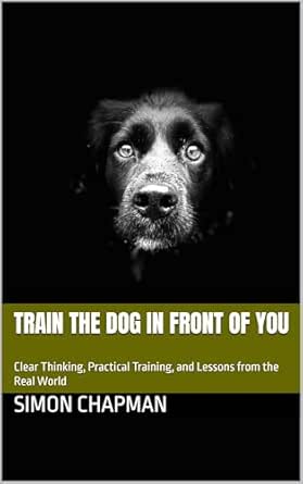 Train the Dog in Front of You