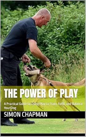 Power of Play
