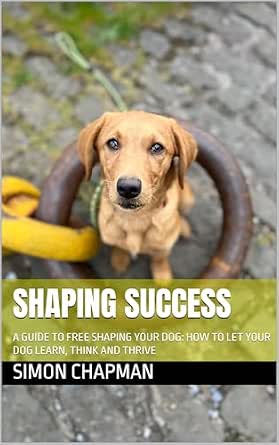 Shaping Success: